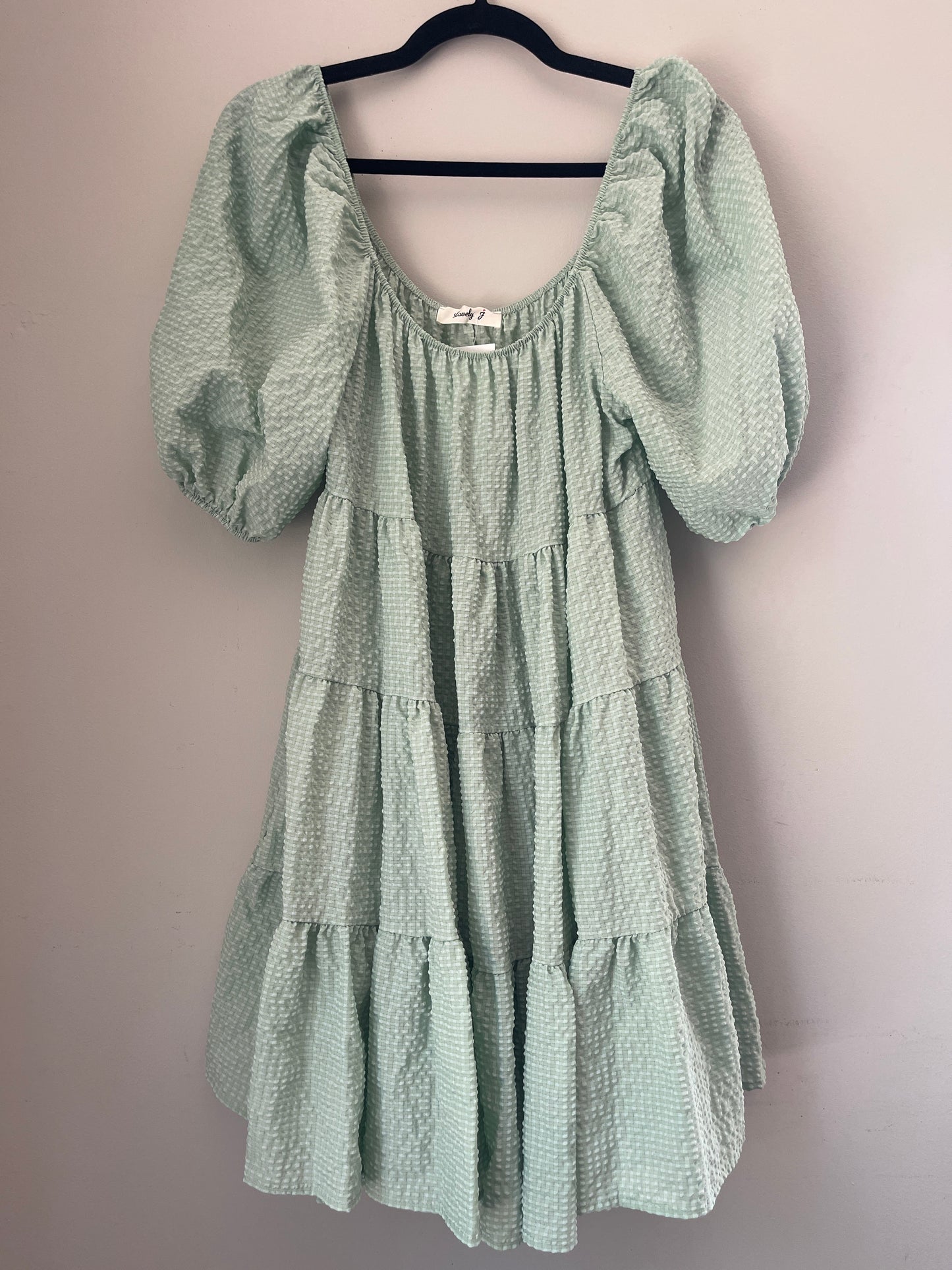 S NWT Lovely J Green Gingham Dress