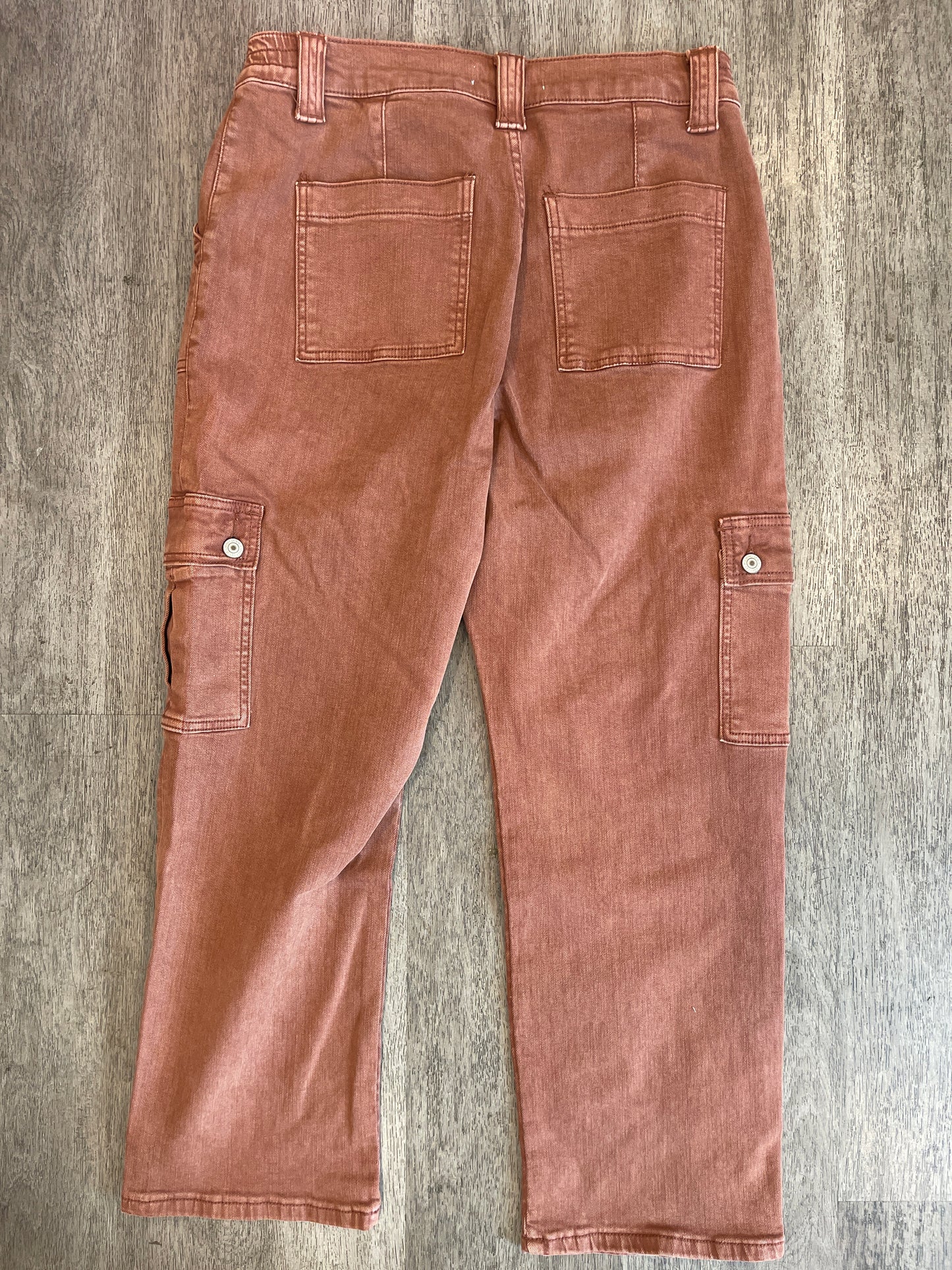 31 Vervet Rust Cargo Jean