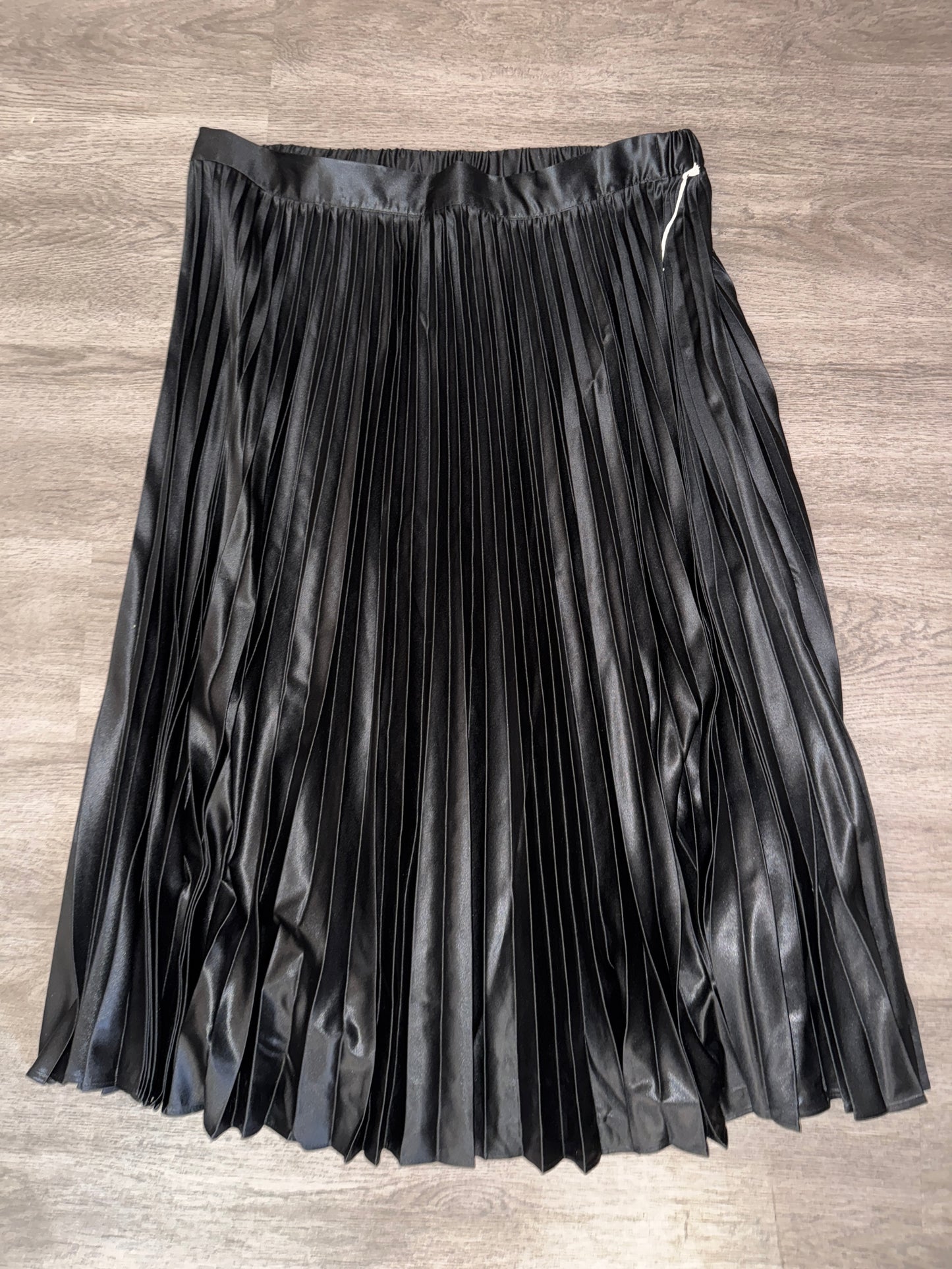 XL Free Assembly Black Pleated Maxi Skirt