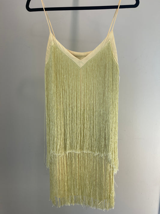 S Zara Fringe Dress