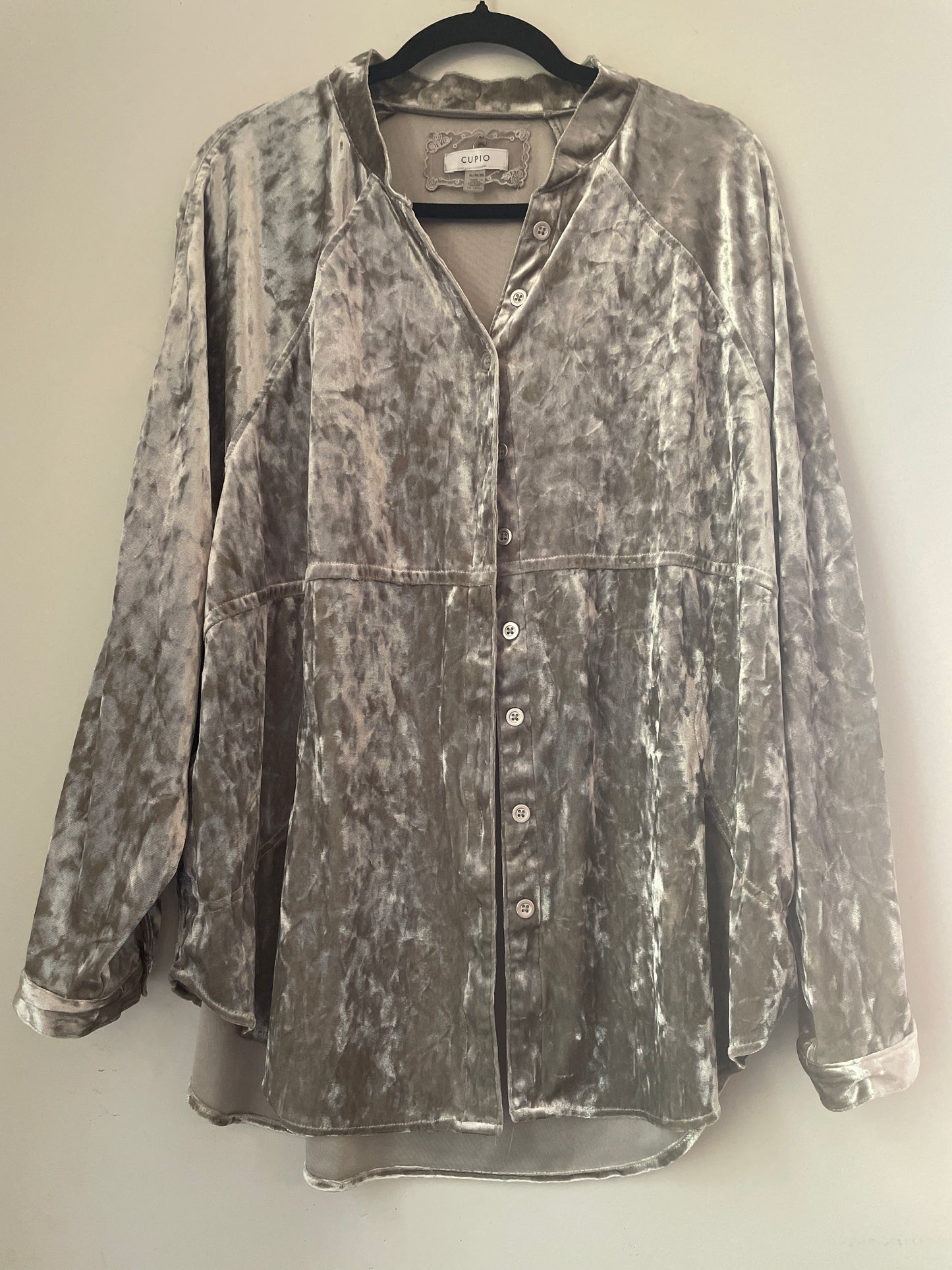 XL Cupio Silver Crushed Velvet Long Sleeve