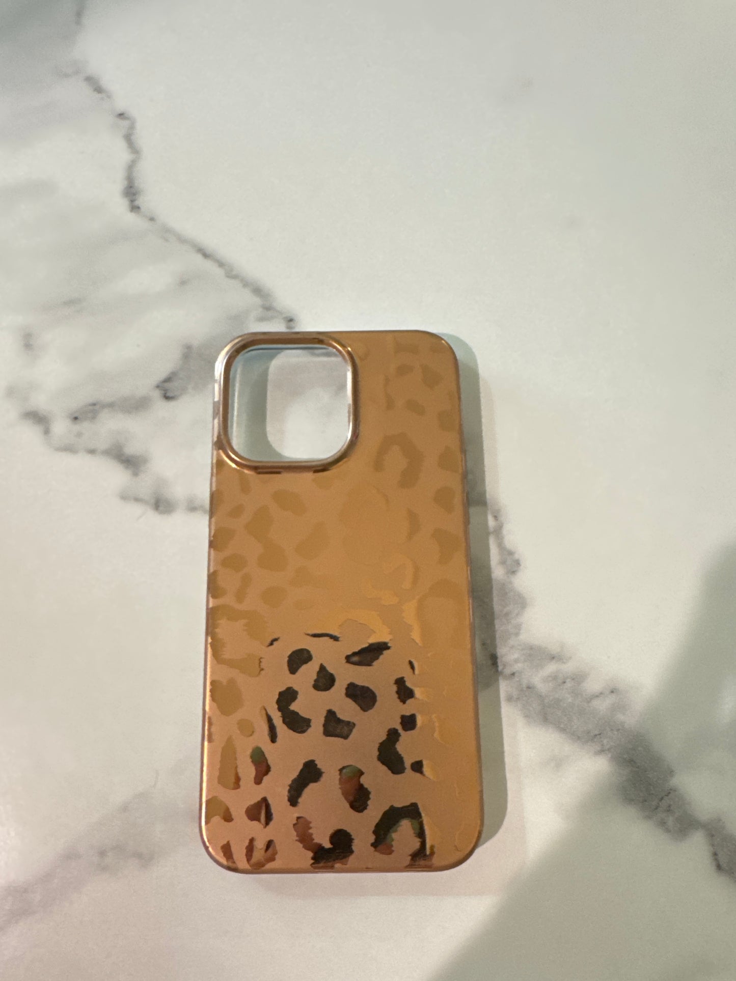 14 Pro Max iPhone Case