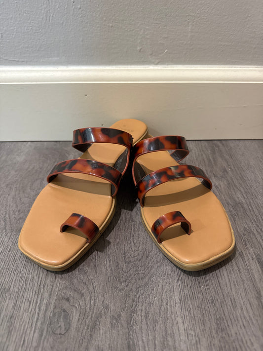 6 Tortoise Shell Toe Loop Sandals
