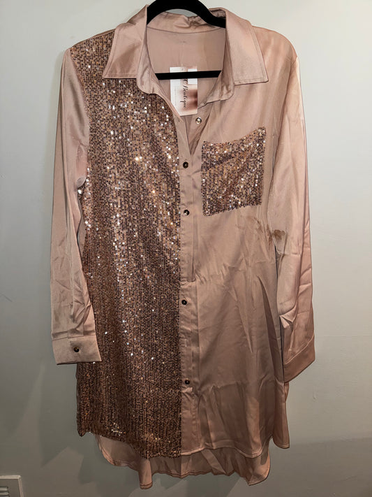 L NWT Champagne sparkle dress